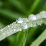 Fotografía Macro