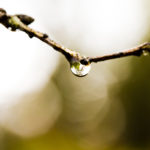 Fotografía Macro